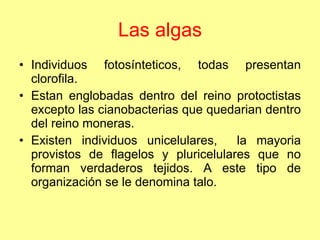 Las algas Individuos fotosínteticos, todas presentan clorofila. Estan englobadas dentro del reino protoctistas excepto las cianobacterias que quedarian dentro del reino moneras. Existen individuos unicelulares,  la mayoria provistos de flagelos y pluricelulares que no forman verdaderos tejidos. A este tipo de organización se le denomina talo. 