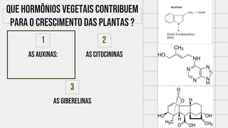 As auxinas:
1
As citocininas
2
As giberelinas
3
Que hormônios vegetais contribuem
para o crescimento das plantas ?
 