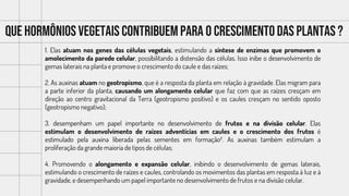Que hormônios vegetais contribuempara o crescimentodas plantas ?
1. Elas atuam nos genes das células vegetais, estimulando a síntese de enzimas que promovem o
amolecimento da parede celular, possibilitando a distensão das células. Isso inibe o desenvolvimento de
gemas laterais na planta e promove o crescimento do caule e das raízes;
2. As auxinas atuam no geotropismo, que é a resposta da planta em relação à gravidade. Elas migram para
a parte inferior da planta, causando um alongamento celular que faz com que as raízes cresçam em
direção ao centro gravitacional da Terra (geotropismo positivo) e os caules cresçam no sentido oposto
(geotropismo negativo);
3. desempenham um papel importante no desenvolvimento de frutos e na divisão celular. Elas
estimulam o desenvolvimento de raízes adventícias em caules e o crescimento dos frutos é
estimulado pela auxina liberada pelas sementes em formação². As auxinas também estimulam a
proliferação da grande maioria de tipos de células;
4. Promovendo o alongamento e expansão celular, inibindo o desenvolvimento de gemas laterais,
estimulando o crescimento de raízes e caules, controlando os movimentos das plantas em resposta à luz e à
gravidade, e desempenhando um papel importante no desenvolvimento de frutos e na divisão celular.
 