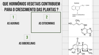 As auxinas
1
As citocininas
2
As giberelinas
3
Que hormônios vegetais contribuem
para o crescimento das plantas ?
 