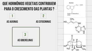As auxinas
1
As citocininas
2
As giberelinas
3
Que hormônios vegetais contribuem
para o crescimento das plantas ?
 