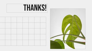 CREDITS: This presentation template was
created by Slidesgo, including icons by
Flaticon, and infographics & images by
Freepik
THANKS!
Please keep this slide for attribution
 