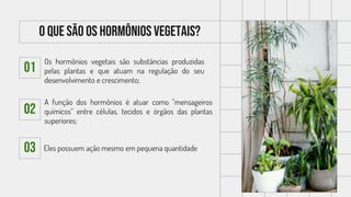 01
02
03 Eles possuem ação mesmo em pequena quantidade
Os hormônios vegetais são substâncias produzidas
pelas plantas e que atuam na regulação do seu
desenvolvimento e crescimento;
A função dos hormônios é atuar como "mensageiros
químicos" entre células, tecidos e órgãos das plantas
superiores;
O QUE SÃO OS HORMÔNIOS VEGETAIS?
 