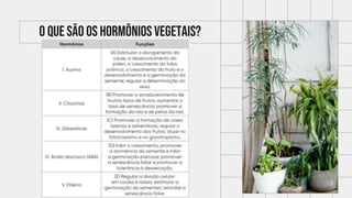 O QUE SÃO OS HORMÔNIOS VEGETAIS?
 
