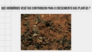 Que hormônios vegetais contribuempara o crescimentodas plantas ?
 