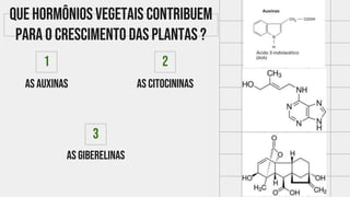As auxinas
1
As citocininas
2
As giberelinas
3
Que hormônios vegetais contribuem
para o crescimento das plantas ?
 