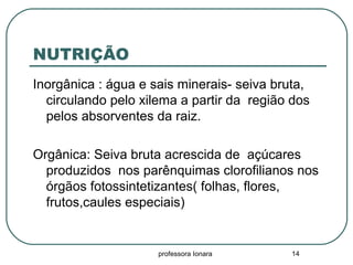 professora Ionara 14
NUTRIÇÃO
Inorgânica : água e sais minerais- seiva bruta,
circulando pelo xilema a partir da região dos
pelos absorventes da raiz.
Orgânica: Seiva bruta acrescida de açúcares
produzidos nos parênquimas clorofilianos nos
órgãos fotossintetizantes( folhas, flores,
frutos,caules especiais)
 