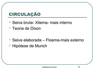 professora Ionara 19
CIRCULAÇÃO
 Seiva bruta- Xilema- mais interno
 Teoria de Dixon
 Seiva elaborada – Floema-mais externo
 Hipótese de Munch
 
