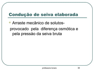 professora Ionara 38
Condução de seiva elaborada
 Arraste mecânico de solutos-
provocado pela diferença osmótica e
pela pressào da seiva bruta
 