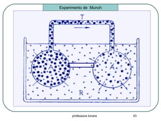 professora Ionara 43
Experimento de Munch
 