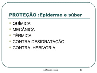 professora Ionara 53
PROTEÇÃO :Epiderme e súber
 QUÍMICA
 MECÂNICA
 TÉRMICA
 CONTRA DESIDRATAÇÃO
 CONTRA HEBIVORIA
 