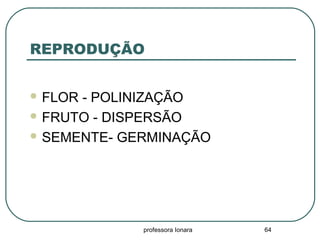 professora Ionara 64
REPRODUÇÃO
 FLOR - POLINIZAÇÃO
 FRUTO - DISPERSÃO
 SEMENTE- GERMINAÇÃO
 