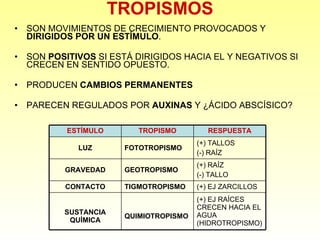TROPISMOS SON MOVIMIENTOS DE CRECIMIENTO PROVOCADOS Y  DIRIGIDOS POR UN ESTÍMULO . SON  POSITIVOS  SI ESTÁ DIRIGIDOS HACIA EL Y NEGATIVOS SI CRECEN EN SENTIDO OPUESTO. PRODUCEN  CAMBIOS PERMANENTES PARECEN REGULADOS POR  AUXINAS  Y ¿ÁCIDO ABSCÍSICO? (+) EJ RAÍCES CRECEN HACIA EL AGUA (HIDROTROPISMO) QUIMIOTROPISMO SUSTANCIA QUÍMICA (+) EJ ZARCILLOS TIGMOTROPISMO CONTACTO (+) RAÍZ (-) TALLO GEOTROPISMO GRAVEDAD (+) TALLOS (-) RAÍZ FOTOTROPISMO LUZ RESPUESTA TROPISMO ESTÍMULO 