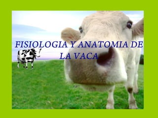 FISIOLOGIA Y ANATOMIA DE
LA VACA
 