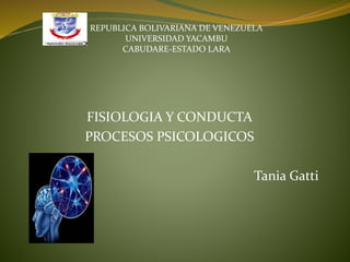 FISIOLOGIA Y CONDUCTA
PROCESOS PSICOLOGICOS
Tania Gatti
REPUBLICA BOLIVARIANA DE VENEZUELA
UNIVERSIDAD YACAMBU
CABUDARE-ESTADO LARA
 