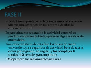 FASE II
En esta fase se produce un bloqueo sensorial a nivel de
  tálamo con desconexión del entorno ,facilita la
  conducta dormir
Es parcialmente reparador, la actividad cerebral es
  predominantemente theta,aparecen algunas salvas de
  ondas delta.
Son característicos de esta fase los husos de sueño
  (salvas de 0.5 a 2 segundos de actividad beta de 12 a 14
  ciclos por segundo; en inglés, y los complejos K
  (ondas bifásicas de gran amplitud).
Desaparecen los movimientos oculares
 