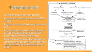 fisiologi cairan tubuh anatomi fisiologi