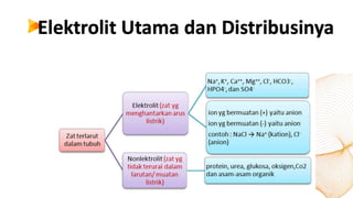 fisiologi cairan tubuh anatomi fisiologi