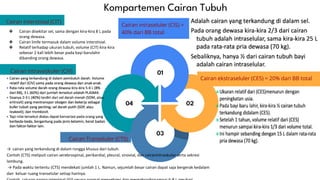 01
03
02
04
Cairan intraseluler (CIS) =
40% dari BB total
Cairan ekstraseluler (CES) = 20% dari BB total
Cairan interstisial (CIT)
Cairan Transeluler (CTS)
Kompartemen Cairan Tubuh
❖ Cairan disekitar sel, sama dengan kira-kira 8 L pada
orang dewasa.
❖ Cairan limfe termasuk dalam volume interstisial.
❖ Relatif terhadap ukuran tubuh, volume (CIT) kira-kira
sebesar 2 kali lebih besar pada bayi barulahir
dibanding orang dewasa.
Cairan intravaskuler (CIV)
ž
→ cairan yang terkandung di dalam rongga khusus dari tubuh.
ž
Contoh (CTS) meliputi cairan serebrospinal, perikardial, pleural, sinovial, dan cairanintraokular serta sekresi
lambung.
→ Pada waktu tertentu (CTS) mendekati jumlah 1 L. Namun, sejumlah besar cairan dapat saja bergerak kedalam
dan keluar ruang transelular setiap harinya.
 