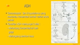 fisiologi cairan tubuh anatomi fisiologi