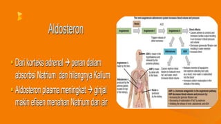 fisiologi cairan tubuh anatomi fisiologi