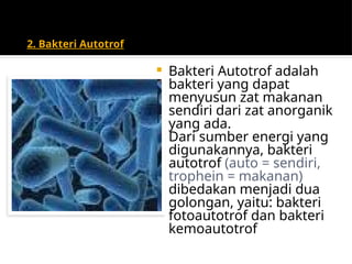 Fisiologi dan Struktur Bakter dan morfologi bakteri i.pptx
