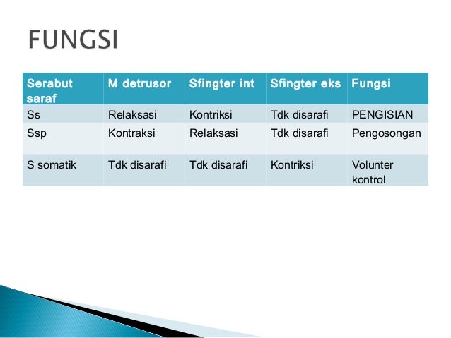 Fisiologi ginjal