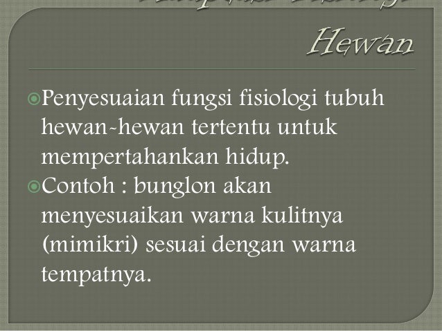 Fisiologi hewan