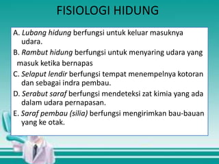 FISIOLOGI HIDUNG
A. Lubang hidung berfungsi untuk keluar masuknya
udara.
B. Rambut hidung berfungsi untuk menyaring udara yang
masuk ketika bernapas
C. Selaput lendir berfungsi tempat menempelnya kotoran
dan sebagai indra pembau.
D. Serabut saraf berfungsi mendeteksi zat kimia yang ada
dalam udara pernapasan.
E. Saraf pembau (silia) berfungsi mengirimkan bau-bauan
yang ke otak.

 
