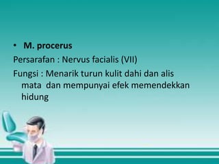 • M. procerus
Persarafan : Nervus facialis (VII)
Fungsi : Menarik turun kulit dahi dan alis
mata dan mempunyai efek memendekkan
hidung

 