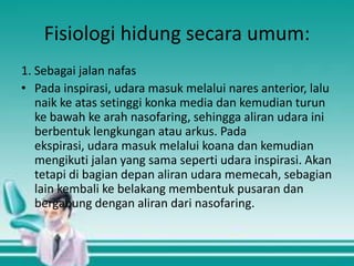 Fisiologi hidung secara umum:
1. Sebagai jalan nafas
• Pada inspirasi, udara masuk melalui nares anterior, lalu
naik ke atas setinggi konka media dan kemudian turun
ke bawah ke arah nasofaring, sehingga aliran udara ini
berbentuk lengkungan atau arkus. Pada
ekspirasi, udara masuk melalui koana dan kemudian
mengikuti jalan yang sama seperti udara inspirasi. Akan
tetapi di bagian depan aliran udara memecah, sebagian
lain kembali ke belakang membentuk pusaran dan
bergabung dengan aliran dari nasofaring.

 