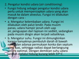 2. Pengatur kondisi udara (air conditioning)
• Fungsi hidung sebagai pengatur kondisi udara
perlu untuk mempersiapkan udara yang akan
masuk ke dalam alveolus. Fungsi ini dilakukan
dengan cara :
• a. Mengatur kelembaban udara. Fungsi ini
dilakukan oleh palut lendir. Pada musim
panas, udara hampir jenuh oleh uap
air, penguapan dari lapisan ini sedikit, sedangkan
pada musim dingin akan terjadi sebaliknya.
• b. Mengatur suhu. Fungsi ini dimungkinkan
karena banyaknya pembuluh darah di bawah
epitel dan adanya permukaan konka dan septum
yang luas, sehingga radiasi dapat berlangsung
secara optimal. Dengan demikian suhu udara
setelah melalui hidung kurang lebih 37o C.

 