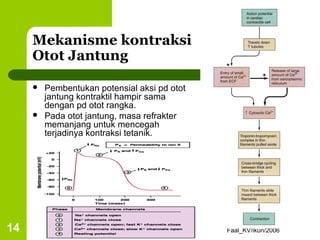Mekanisme kontraksi
     Otot Jantung

        Pembentukan potensial aksi pd otot
         jantung kontraktil hampir sama
         dengan pd otot rangka.
        Pada otot jantung, masa refrakter
         memanjang untuk mencegah
         terjadinya kontraksi tetanik.




14                                            Faal_KV/ikun/2006
 