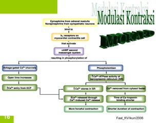 16   Faal_KV/ikun/2006
 