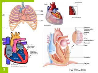 3   Faal_KV/ikun/2006
 