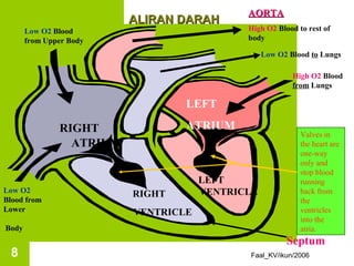 AORTA
                          ALIRAN DARAH
       Low O2 Blood                          High O2 Blood to rest of
       from Upper Body                       body

                                                  Low O2 Blood to Lungs

                                                          High O2 Blood
                                                          from Lungs

                                  LEFT

               RIGHT              ATRIUM
                                                            Valves in
                 ATRIUM                                     the heart are
                                                            one-way
                                                            only and
                                                            stop blood
                                      LEFT                  running
Low O2                                VENTRICLE             back from
                          RIGHT
Blood from                                                  the
Lower                     VENTRICLE                         ventricles
                                                            into the
Body                                                        atria.
                                                        Septum
 8                                           Faal_KV/ikun/2006
 