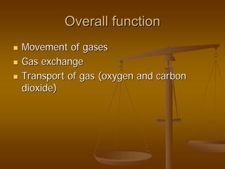 Overall functionOverall function
Movement of gasesMovement of gases
Gas exchangeGas exchange
Transport of gas (oxygen and carbonTransport of gas (oxygen and carbon
dioxide)dioxide)
 