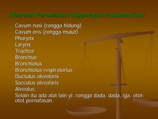 AlatAlat--alatalat PernafasanPernafasan (Apparatus(Apparatus respiratoriusrespiratorius))
-- CavumCavum nasinasi ((ronggarongga hidunghidung))
-- CavumCavum orisoris ((ronggarongga mulutmulut))
-- PharynxPharynx
-- LarynxLarynx
-- TracheaTrachea
-- BronchusBronchus
-- BronchiolusBronchiolus
-- BronchiolusBronchiolus respiratoriusrespiratorius
-- DuctulusDuctulus alveolarisalveolaris
-- SacculusSacculus alveolarisalveolaris
-- Alveolus.Alveolus.
SelainSelain ituitu adaada alatalat lainlain yiyi:: ronggarongga dada, dada,dada, dada, igaiga,, otototot--
otototot pernafasanpernafasan..
 