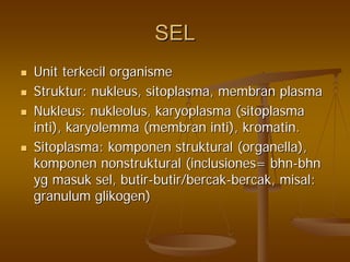 SELSEL
UnitUnit terkecilterkecil organismeorganisme
StrukturStruktur:: nukleusnukleus,, sitoplasmasitoplasma,, membranmembran plasmaplasma
NukleusNukleus:: nukleolusnukleolus,, karyoplasmakaryoplasma ((sitoplasmasitoplasma
intiinti),), karyolemmakaryolemma ((membranmembran intiinti),), kromatinkromatin..
SitoplasmaSitoplasma:: komponenkomponen strukturalstruktural ((organellaorganella),),
komponenkomponen nonstrukturalnonstruktural ((inclusionesinclusiones== bhnbhn--bhnbhn
ygyg masukmasuk selsel,, butirbutir--butir/bercakbutir/bercak--bercakbercak,, misalmisal::
granulumgranulum glikogenglikogen))
 