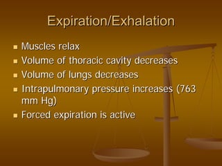 Expiration/ExhalationExpiration/Exhalation
Muscles relaxMuscles relax
Volume of thoracic cavity decreasesVolume of thoracic cavity decreases
Volume of lungs decreasesVolume of lungs decreases
Intrapulmonary pressure increases (763Intrapulmonary pressure increases (763
mm Hg)mm Hg)
Forced expiration is activeForced expiration is active
 