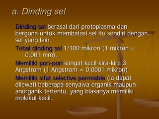 a.a. DindingDinding selsel
DindingDinding selsel berasalberasal daridari protoplasmaprotoplasma dandan
bergunaberguna untukuntuk membatasimembatasi selsel ituitu sendirisendiri dengandengan
selsel yang lain.yang lain.
TebalTebal dindingdinding selsel 1/1001/100 mikronmikron (1(1 mikronmikron ==
0.001 mm).0.001 mm).
MemilikiMemiliki poripori--poripori sangatsangat kecilkecil kirakira--kirakira 33
Angstrom (1 Angstrom = 0.0001Angstrom (1 Angstrom = 0.0001 mikronmikron))
MemilikiMemiliki sifatsifat selectiveselective permiablepermiable ((iaia dapatdapat
dilewatidilewati beberapabeberapa senyawasenyawa organikorganik maupunmaupun
anorganikanorganik tertentutertentu, yang, yang biasanyabiasanya memilikimemiliki
molekulmolekul kecilkecil..
 