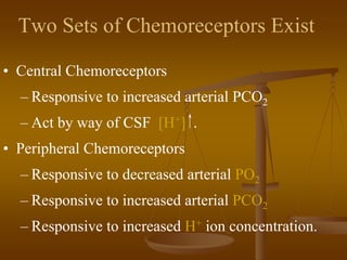 Two Sets of Chemoreceptors Exist
• Central Chemoreceptors
– Responsive to increased arterial PCO2
– Act by way of CSF [H+] .
• Peripheral Chemoreceptors
– Responsive to decreased arterial PO2
– Responsive to increased arterial PCO2
– Responsive to increased H+ ion concentration.
 