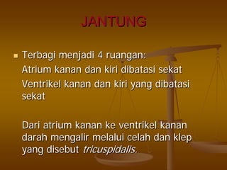 JANTUNGJANTUNG
TerbagiTerbagi menjadimenjadi 44 ruanganruangan::
AtriumAtrium kanankanan dandan kirikiri dibatasidibatasi sekatsekat
VentrikelVentrikel kanankanan dandan kirikiri yangyang dibatasidibatasi
sekatsekat
Dari atriumDari atrium kanankanan keke ventrikelventrikel kanankanan
darahdarah mengalirmengalir melaluimelalui celahcelah dandan klepklep
yangyang disebutdisebut tricuspidalistricuspidalis..
 