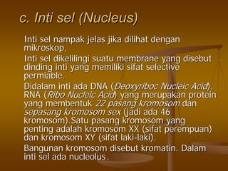 c.c. IntiInti selsel (Nucleus)(Nucleus)
IntiInti selsel nampaknampak jelasjelas jikajika dilihatdilihat dengandengan
mikroskopmikroskop,,
IntiInti selsel dikelilingidikelilingi suatusuatu membrane yangmembrane yang disebutdisebut
dindingdinding intiinti yangyang memilikimemiliki sifatsifat selectiveselective
permiablepermiable..
DidalamDidalam intiinti adaada DNA (DNA (DeoxyribocDeoxyriboc NucleicNucleic AcidAcid),),
RNA (RNA (RiboRibo Nucleic AcidNucleic Acid) yang) yang merupakanmerupakan proteinprotein
yangyang membentukmembentuk 2222 pasangpasang kromosomkromosom dandan
sepasangsepasang kromosomkromosom sexsex ((jadijadi adaada 4646
kromosom).Satukromosom).Satu pasangpasang kromosomkromosom yangyang
pentingpenting adalahadalah kromosomkromosom XX (XX (sifatsifat perempuanperempuan))
dandan kromosomkromosom XY (XY (sifatsifat lakilaki--lakilaki).).
BangunanBangunan kromosomkromosom disebutdisebut kromatinkromatin.. DalamDalam
intiinti selsel adaada nucleolusnucleolus ..
 
