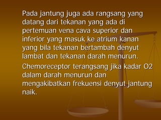 PadaPada jantungjantung jugajuga adaada rangsangrangsang yangyang
datangdatang daridari tekanantekanan yangyang adaada didi
pertemuanpertemuan vena cava superiorvena cava superior dandan
inferior yanginferior yang masukmasuk keke atriumatrium kanankanan
yangyang bilabila tekanantekanan bertambahbertambah denyutdenyut
lambatlambat dandan tekanantekanan darahdarah menurunmenurun..
ChemoreceptorChemoreceptor terangsangterangsang jikajika kadarkadar O2O2
dalamdalam darahdarah menurunmenurun dandan
mengakibatkanmengakibatkan frekuensifrekuensi denyutdenyut jantungjantung
naiknaik..
 