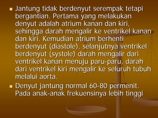 JantungJantung tidaktidak berdenyutberdenyut serempakserempak tetapitetapi
bergantianbergantian.. PertamaPertama yangyang melakukanmelakukan
denyutdenyut adalahadalah atriumatrium kanankanan dandan kirikiri,,
sehinggasehingga darahdarah mengalirmengalir keke ventrikelventrikel kanankanan
dandan kirikiri.. KemudianKemudian atriumatrium berhentiberhenti
berdenyutberdenyut (diastole),(diastole), selanjutnyaselanjutnya ventrikelventrikel
berdenyutberdenyut (systole)(systole) darahdarah mengalirmengalir daridari
ventrikelventrikel kanankanan menujumenuju paruparu--paruparu,, darahdarah
daridari ventrikelventrikel kirikiri mengalirmengalir keke seluruhseluruh tubuhtubuh
melaluimelalui aorta.aorta.
DenyutDenyut jantungjantung normal 60normal 60--8080 permenitpermenit..
PadaPada anakanak--anakanak frekuensinyafrekuensinya lebihlebih tinggitinggi
 