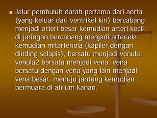 JalurJalur pembuluhpembuluh darahdarah pertamapertama daridari aortaaorta
(yang(yang keluarkeluar daridari ventrikelventrikel kirikiri)) bercabangbercabang
menjadimenjadi arteriarteri besarbesar kemudiankemudian arteriarteri kecilkecil,,
didi jaringanjaringan bercabangbercabang menjadimenjadi arteriolaarteriola
kemudiankemudian mitarteriolamitarteriola ((kapilerkapiler dengandengan
dindingdinding selapisselapis),), bersatubersatu menjadimenjadi venulavenula,,
venula2venula2 bersatubersatu menjadimenjadi vena, venavena, vena
bersatubersatu dengandengan vena yang lainvena yang lain menjadimenjadi
venavena besarbesar,, menujumenuju jantungjantung kemudiankemudian
bermuarabermuara didi atriumatrium kanankanan..
 