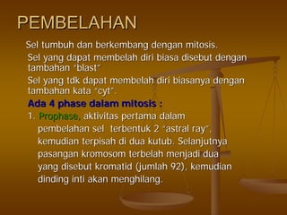PEMBELAHANPEMBELAHAN
SelSel tumbuhtumbuh dandan berkembangberkembang dengandengan mitosis.mitosis.
SelSel yangyang dapatdapat membelahmembelah diridiri biasabiasa disebutdisebut dengandengan
tambahantambahan ““blastblast””
SelSel yangyang tdktdk dapatdapat membelahmembelah diridiri biasanyabiasanya dengandengan
tambahantambahan katakata ““cytcyt””..
AdaAda 4 phase4 phase dalamdalam mitosis :mitosis :
1.1. Prophase,Prophase, aktivitasaktivitas pertamapertama dalamdalam
pembelahanpembelahan selsel terbentukterbentuk 22 ““astral rayastral ray””,,
kemudiankemudian terpisahterpisah didi duadua kutubkutub.. SelanjutnyaSelanjutnya
pasanganpasangan kromosomkromosom terbelahterbelah menjadimenjadi duadua
yangyang disebutdisebut kromatidkromatid ((jumlahjumlah 92),92), kemudiankemudian
dindingdinding intiinti akanakan menghilangmenghilang..
 
