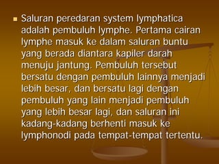 SaluranSaluran peredaranperedaran systemsystem lymphaticalymphatica
adalahadalah pembuluhpembuluh lymphelymphe.. PertamaPertama cairancairan
lymphelymphe masukmasuk keke dalamdalam saluransaluran buntubuntu
yangyang beradaberada diantaradiantara kapilerkapiler darahdarah
menujumenuju jantungjantung.. PembuluhPembuluh tersebuttersebut
bersatubersatu dengandengan pembuluhpembuluh lainnyalainnya menjadimenjadi
lebihlebih besarbesar,, dandan bersatubersatu lagilagi dengandengan
pembuluhpembuluh yang lainyang lain menjadimenjadi pembuluhpembuluh
yangyang lebihlebih besarbesar lagilagi,, dandan saluransaluran iniini
kadangkadang--kadangkadang berhentiberhenti masukmasuk keke
lymphonodilymphonodi padapada tempattempat--tempattempat tertentutertentu..
 