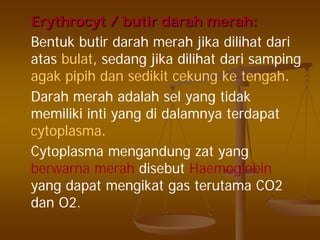 ErythrocytErythrocyt // butirbutir darahdarah merahmerah::
Bentuk butir darah merah jika dilihat dari
atas bulat, sedang jika dilihat dari samping
agak pipih dan sedikit cekung ke tengah.
Darah merah adalah sel yang tidak
memiliki inti yang di dalamnya terdapat
cytoplasma.
Cytoplasma mengandung zat yang
berwarna merah disebut Haemoglobin
yang dapat mengikat gas terutama CO2
dan O2.
 